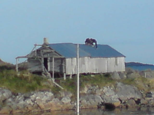 dsc00468.jpg