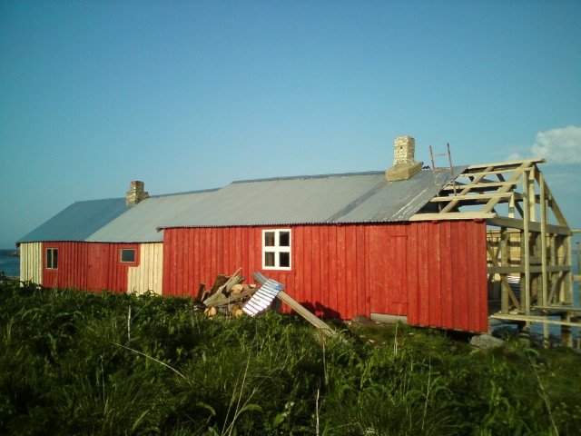 dsc00560.jpg