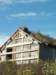 dsc00631_small.jpg