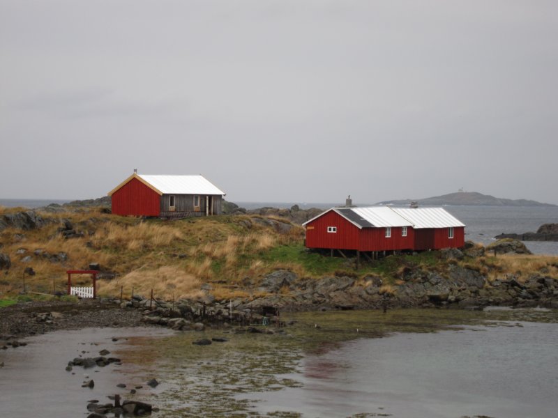img_0966.jpg
