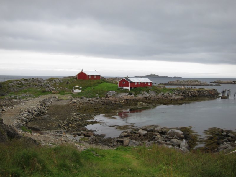 img_1461.jpg