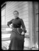 guvernante_small.jpg