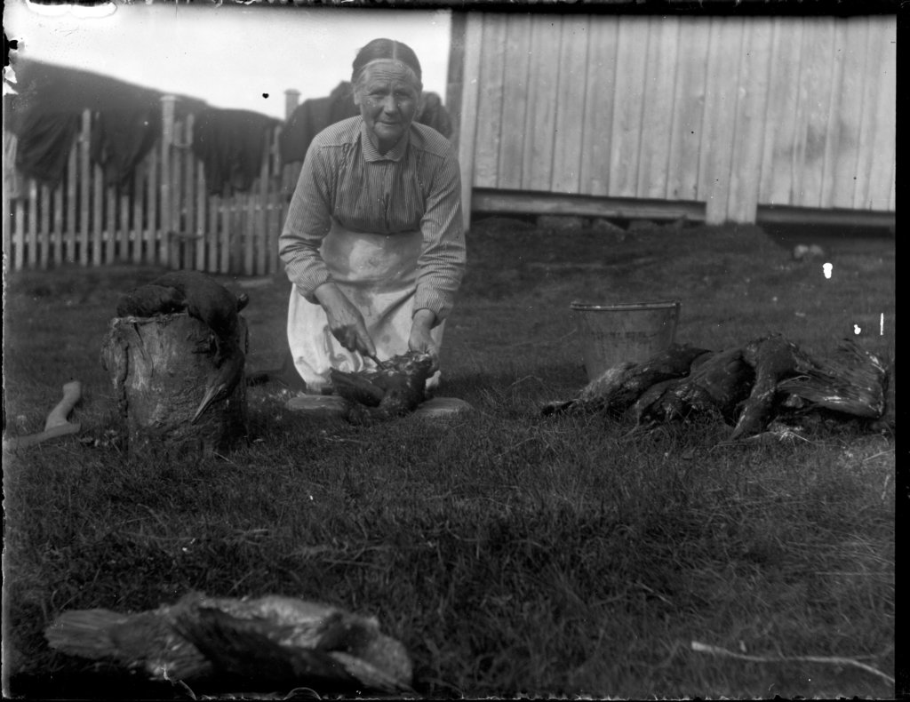 ingeborgnielsen2.jpg